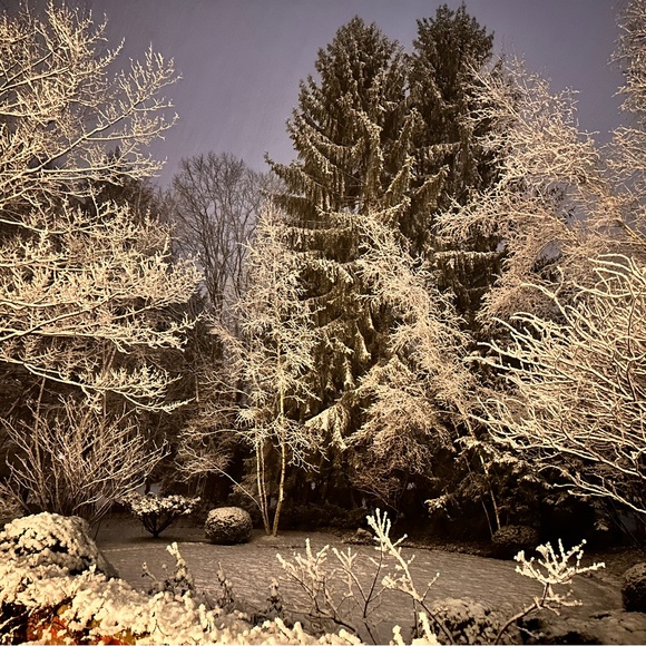 Meet your Posher, Emmy’s Edit - Picture 4 of 16